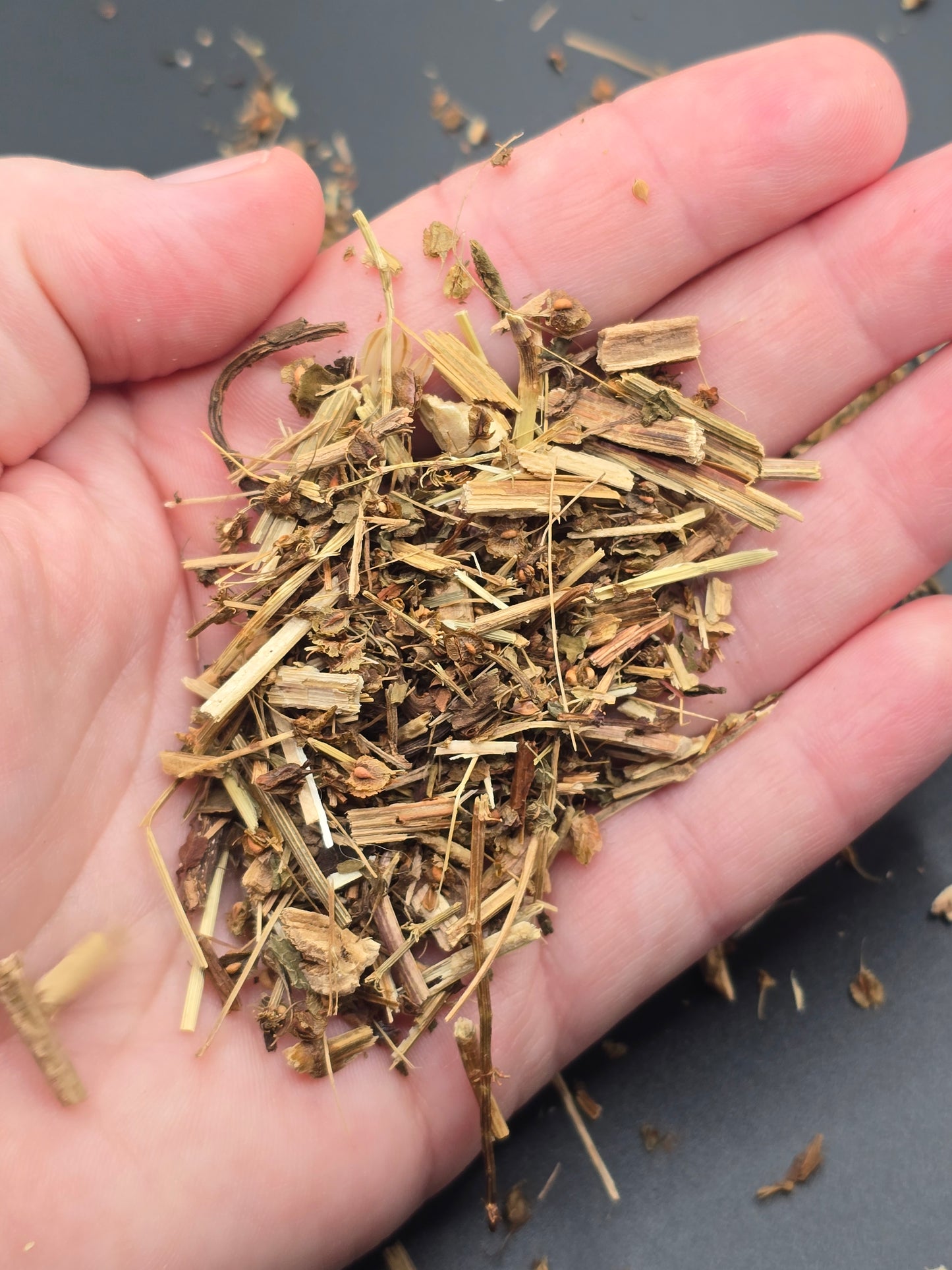 Sheep sorrel